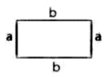 Perimeter of rectangle